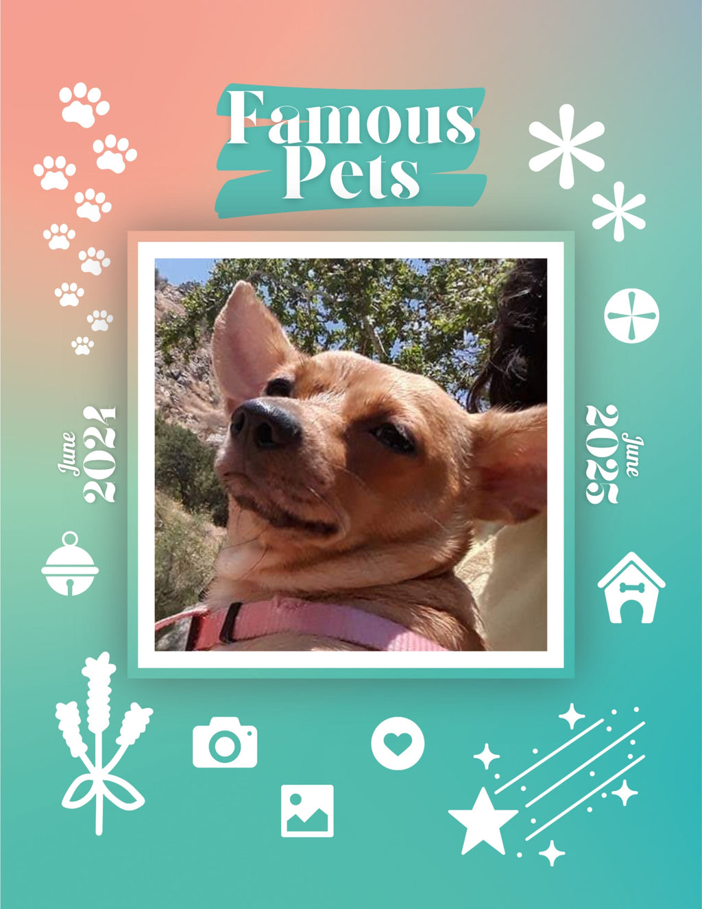 Famous Pets: June 2024-June 2025 Wall Calendar (Pre-Order)