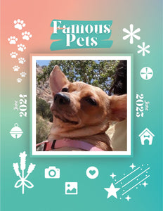 Famous Pets: June 2024-June 2025 Wall Calendar (Pre-Order)