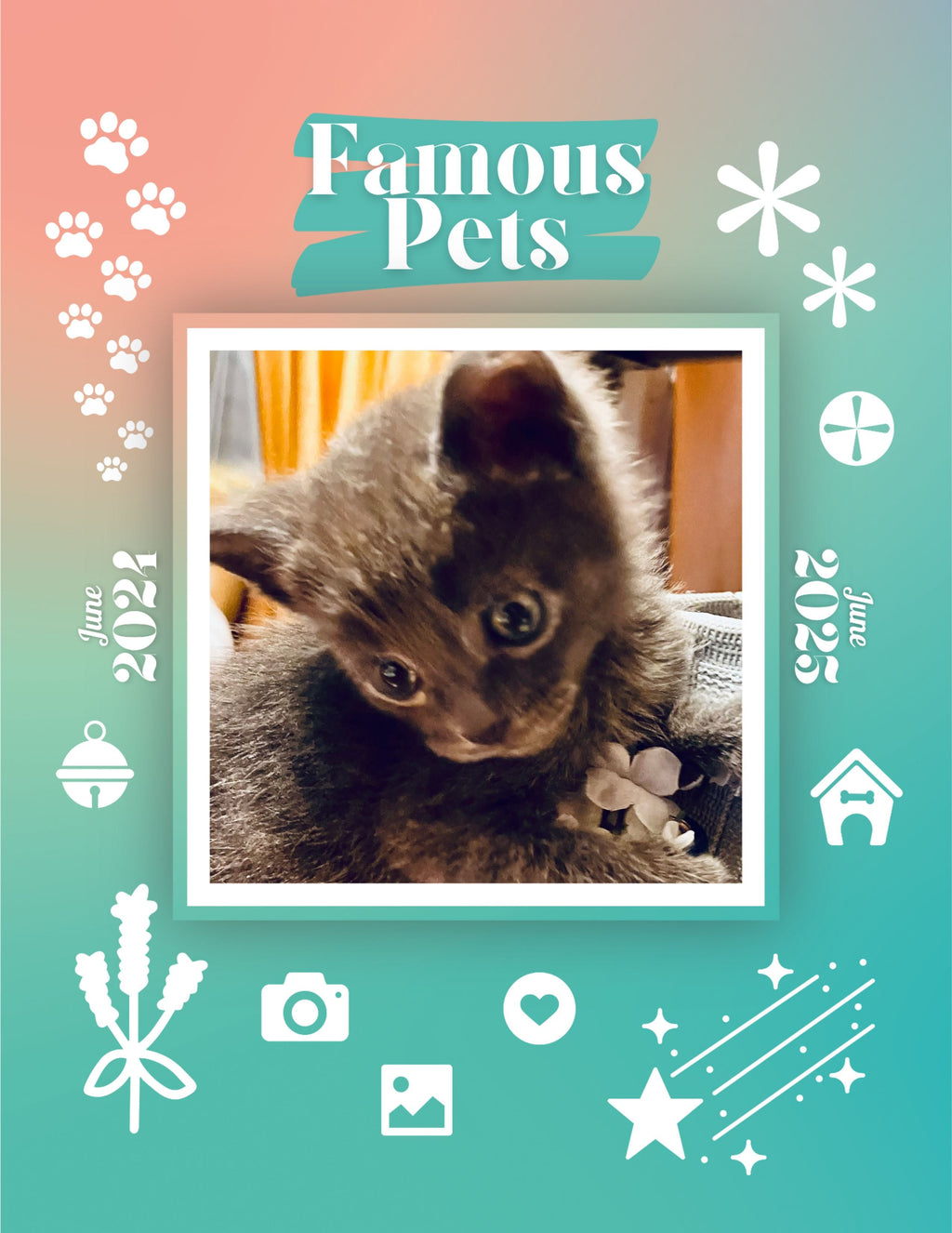 Famous Pets: June 2024-June 2025 Wall Calendar (Pre-Order)