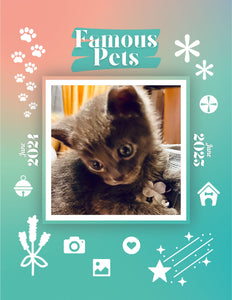 Famous Pets: June 2024-June 2025 Wall Calendar (Pre-Order)
