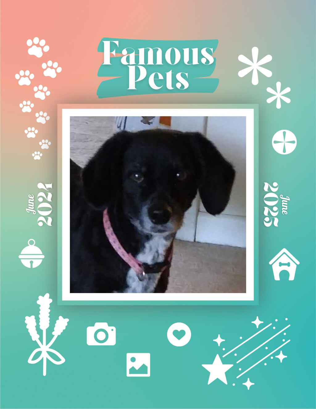 Famous Pets: June 2024-June 2025 Wall Calendar (Pre-Order)