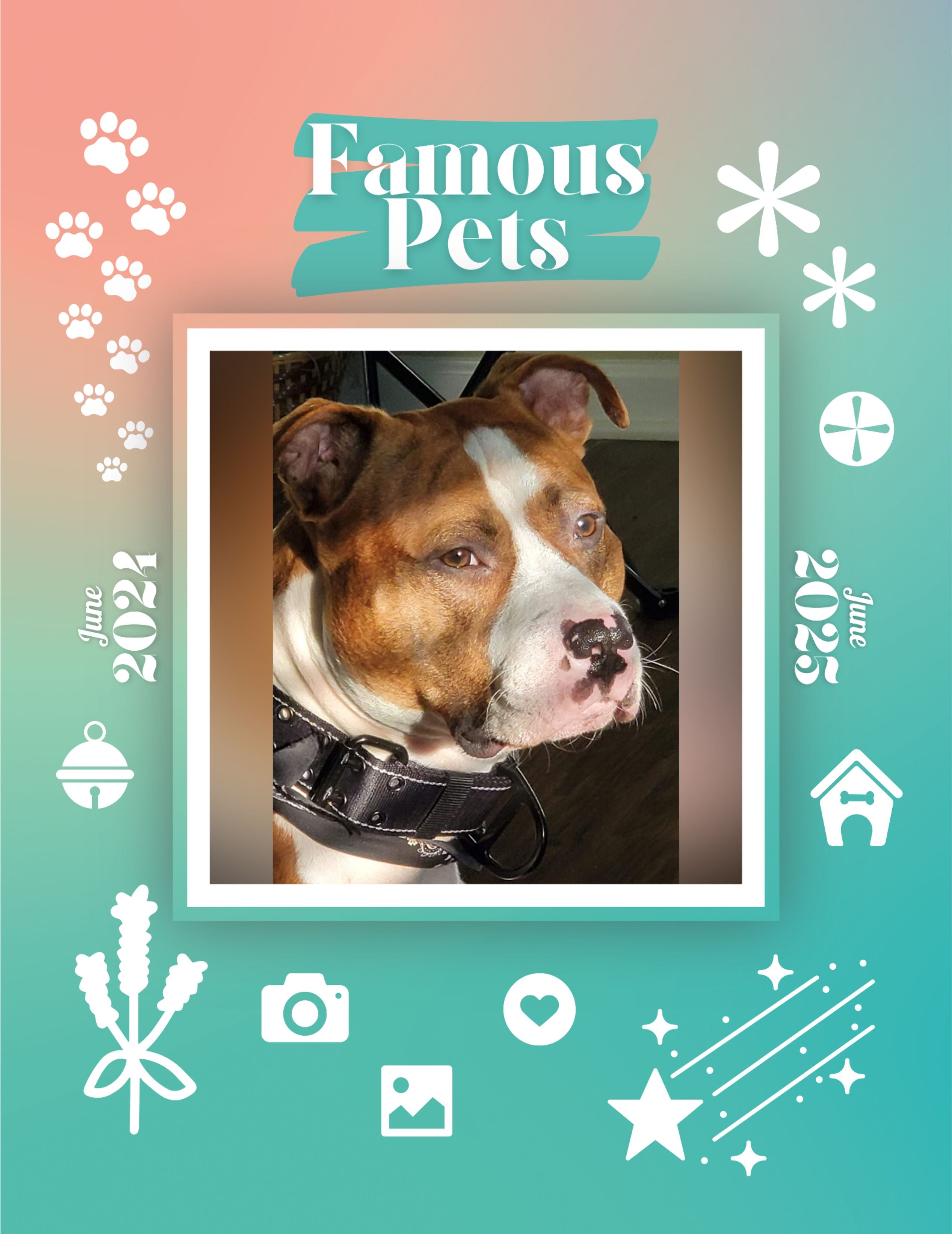 Famous Pets: June 2024-June 2025 Wall Calendar (Pre-Order)