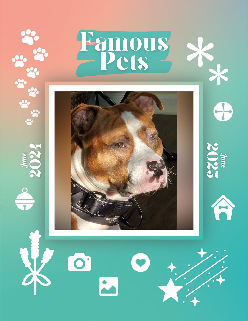 Famous Pets: June 2024-June 2025 Wall Calendar (Pre-Order)
