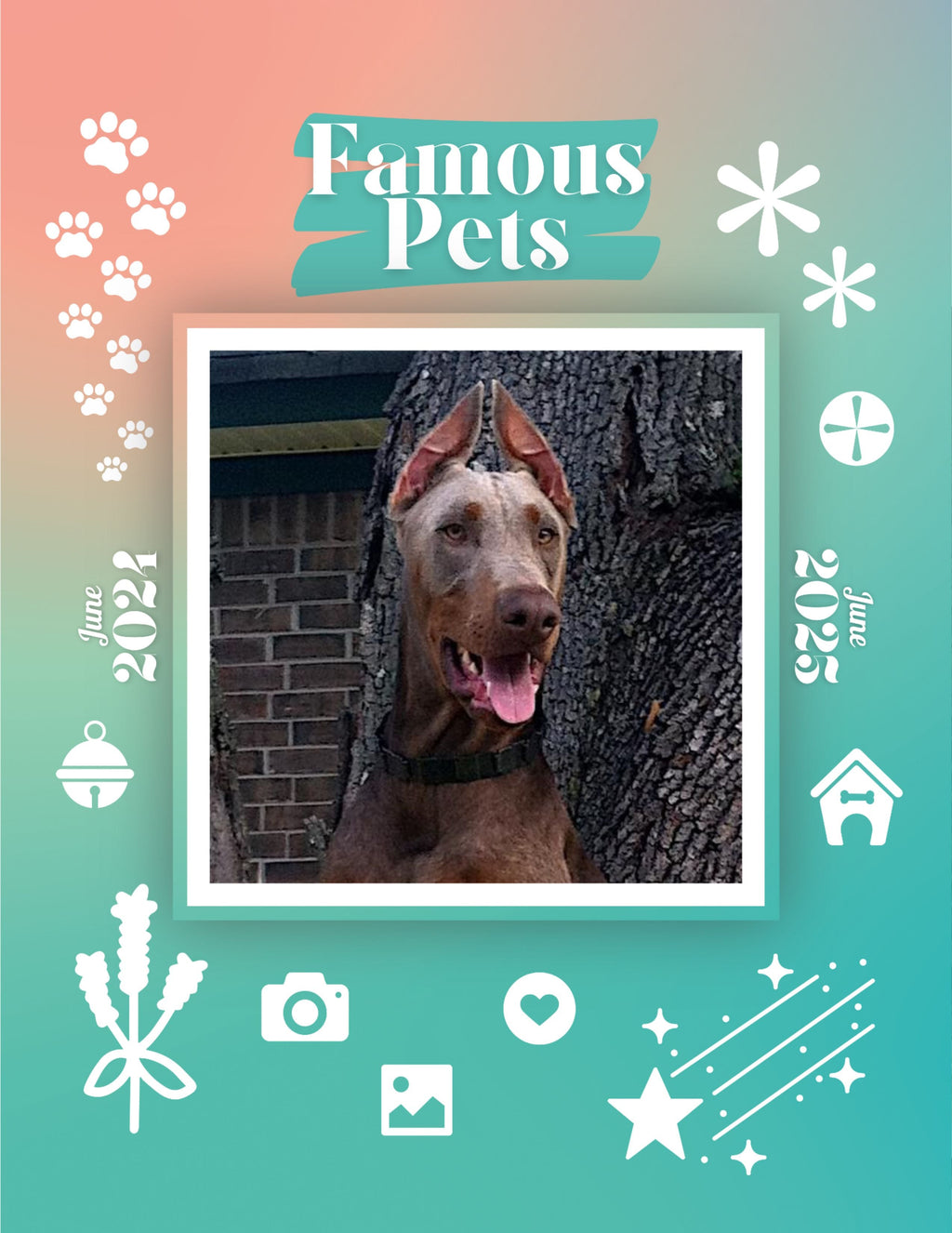 Famous Pets: June 2024-June 2025 Wall Calendar (Pre-Order)