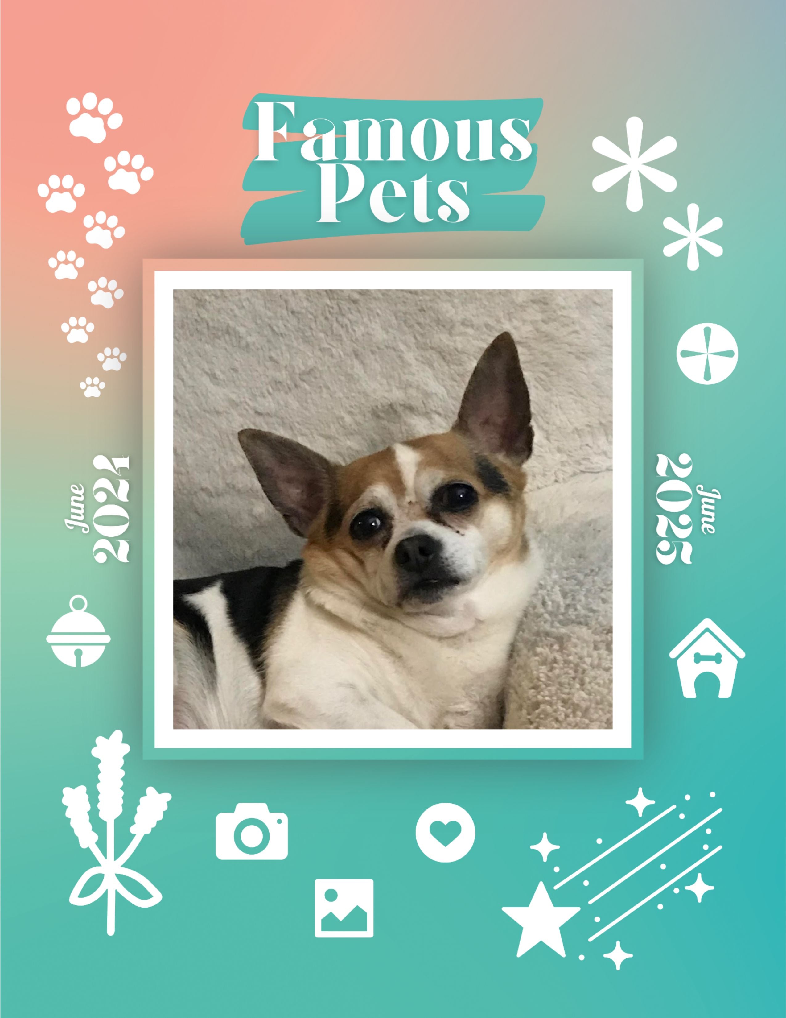 Famous Pets: June 2024-June 2025 Wall Calendar (Pre-Order)