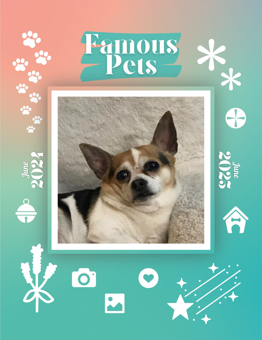 Famous Pets: June 2024-June 2025 Wall Calendar (Pre-Order)
