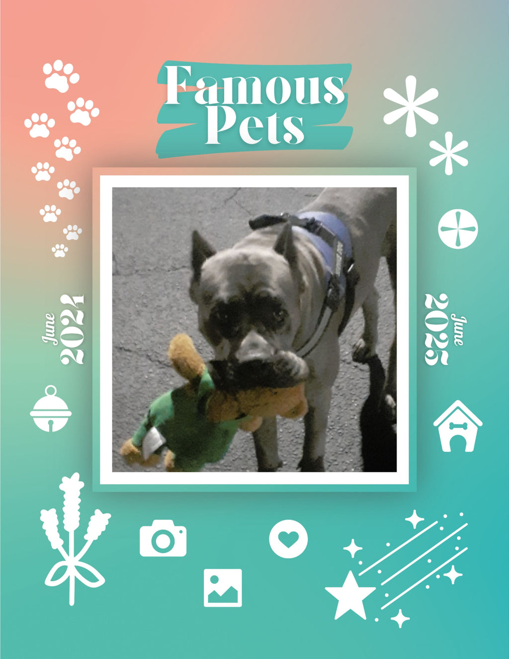 Famous Pets: June 2024-June 2025 Wall Calendar (Pre-Order)
