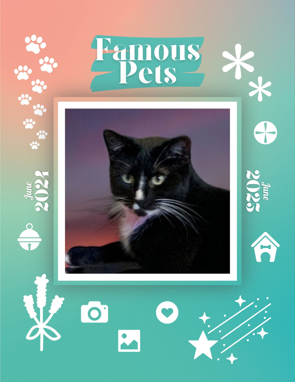 Famous Pets: June 2024-June 2025 Wall Calendar (Pre-Order)