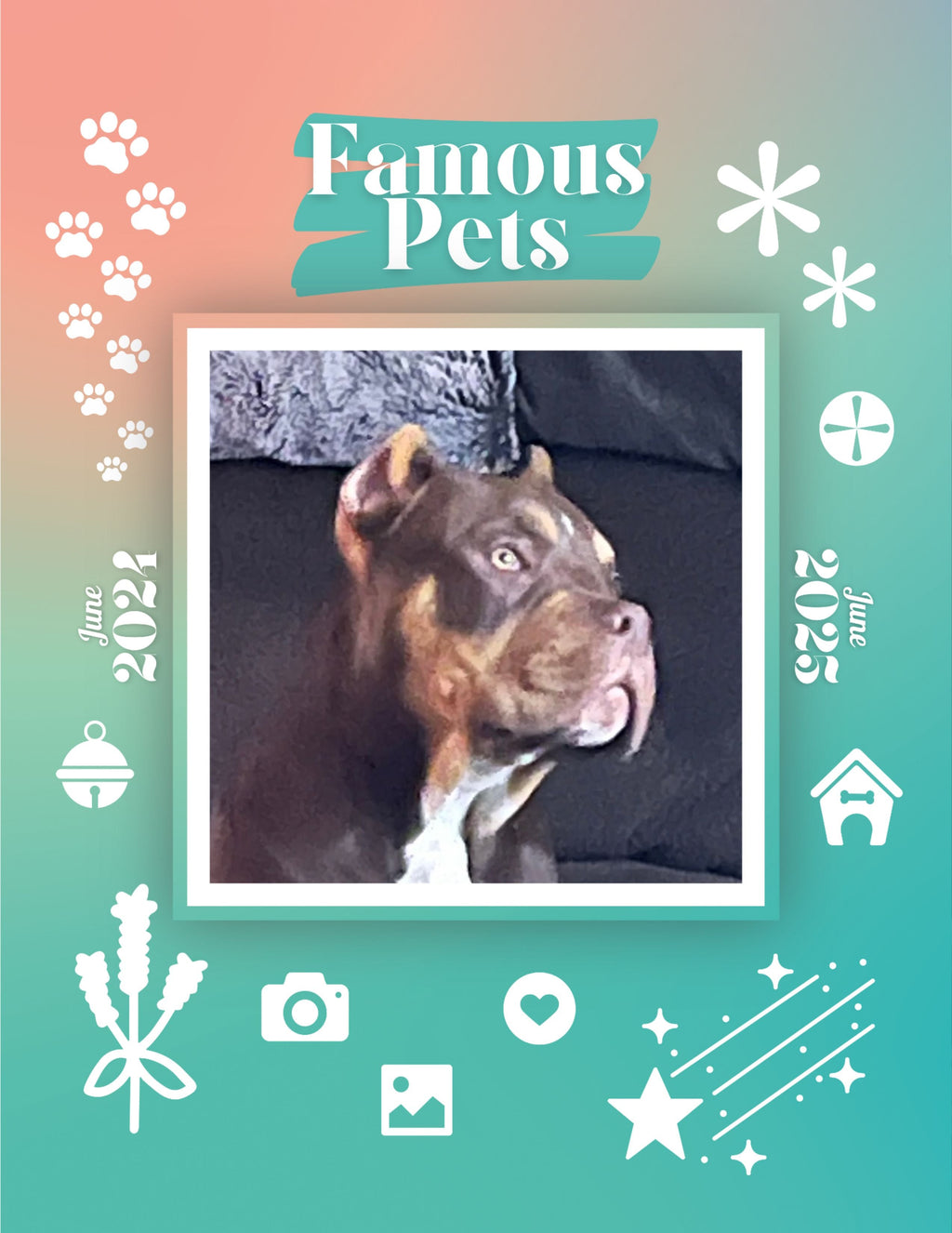 Famous Pets: June 2024-June 2025 Wall Calendar (Pre-Order)