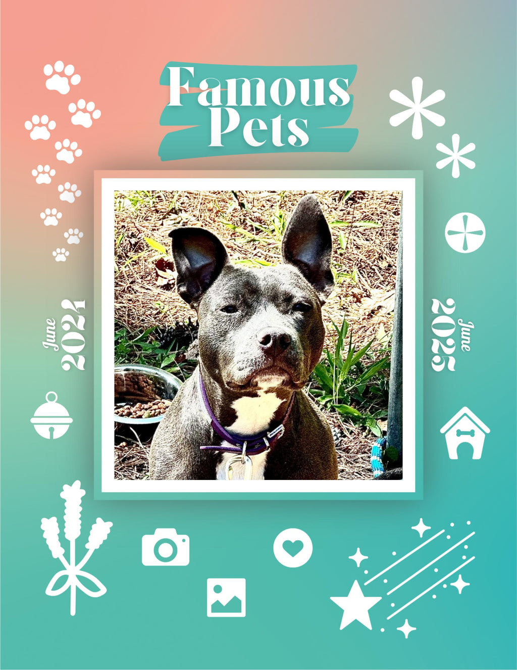 Famous Pets: June 2024-June 2025 Wall Calendar (Pre-Order)