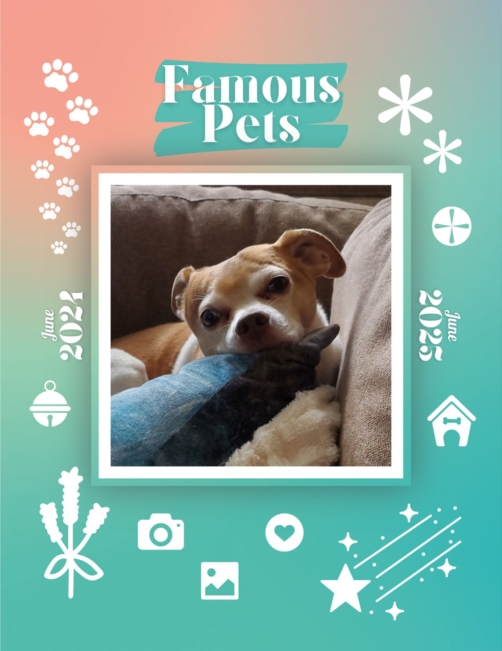 Famous Pets: June 2024-June 2025 Wall Calendar (Pre-Order)