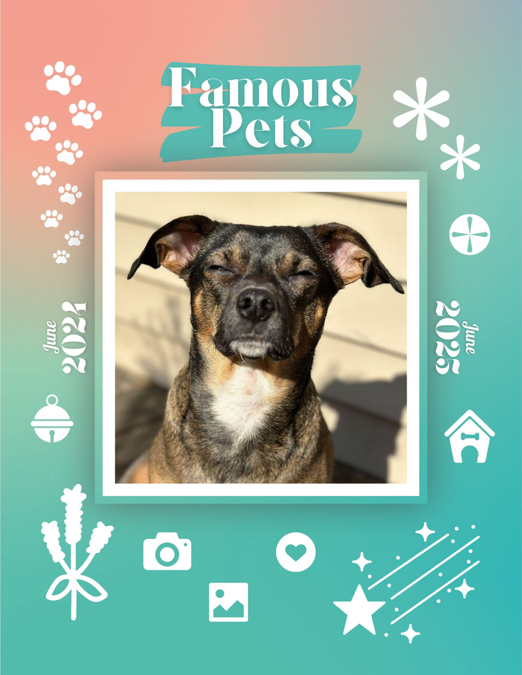 Famous Pets: June 2024-June 2025 Wall Calendar (Pre-Order)