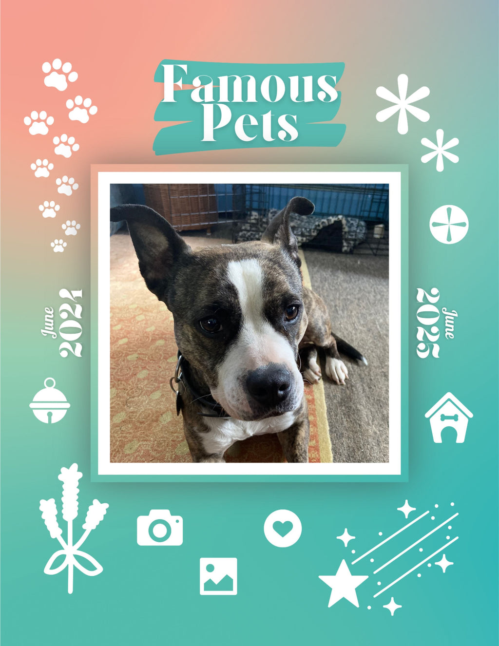 Famous Pets: June 2024-June 2025 Wall Calendar (Pre-Order)