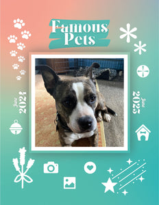Famous Pets: June 2024-June 2025 Wall Calendar (Pre-Order)