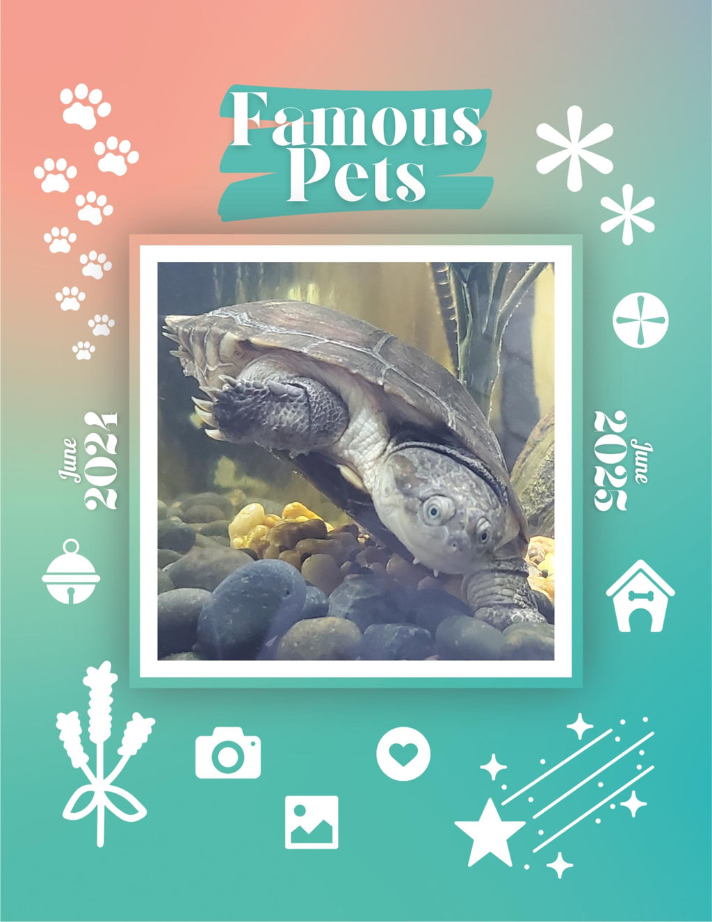 Famous Pets: June 2024-June 2025 Wall Calendar (Pre-Order)