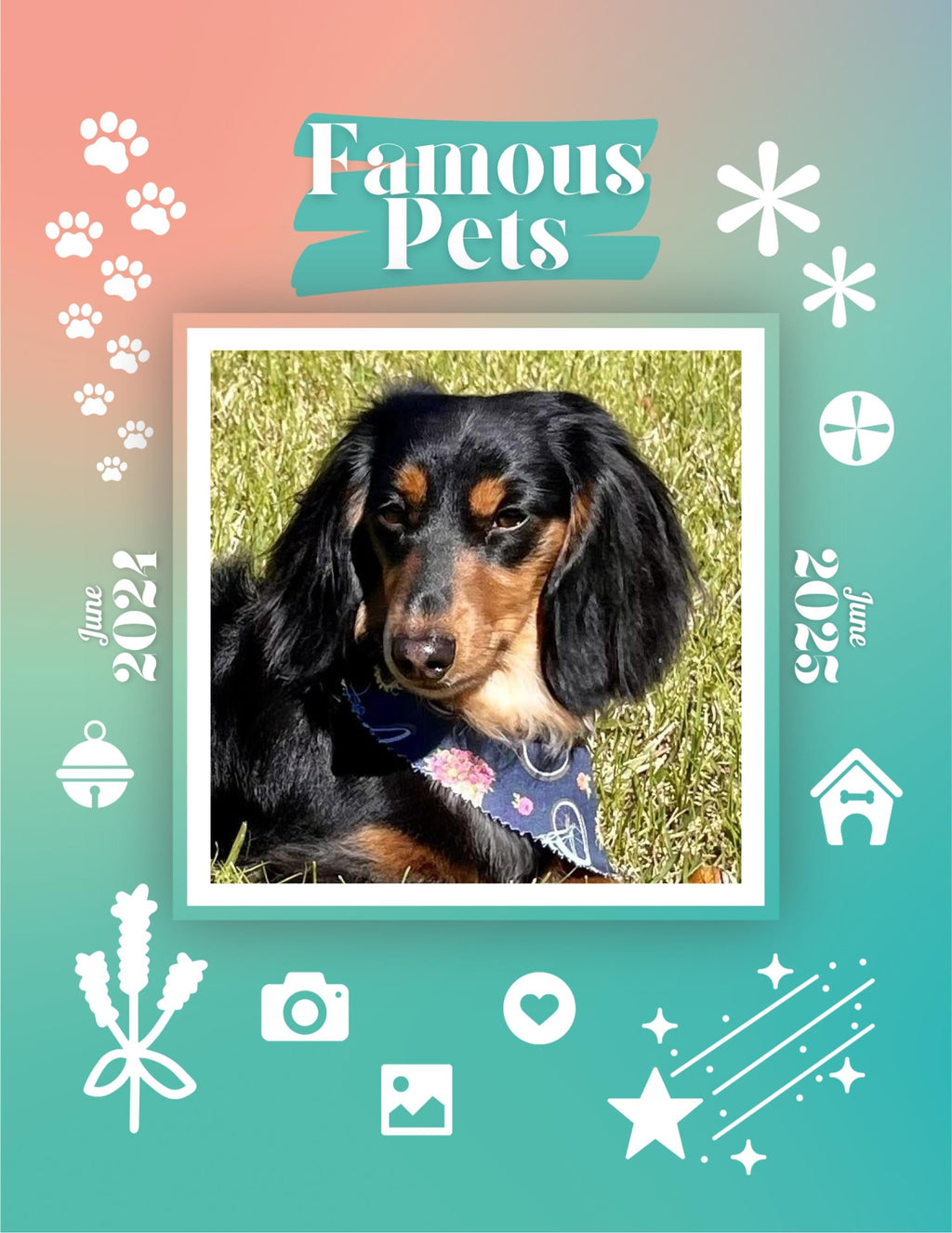 Famous Pets: June 2024-June 2025 Wall Calendar (Pre-Order)