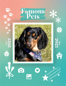 Famous Pets: June 2024-June 2025 Wall Calendar (Pre-Order)