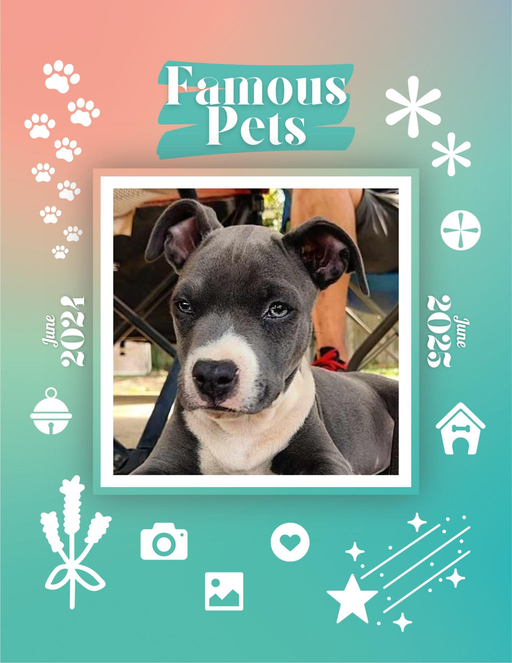 Famous Pets: June 2024-June 2025 Wall Calendar (Pre-Order)