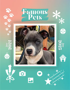 Famous Pets: June 2024-June 2025 Wall Calendar (Pre-Order)