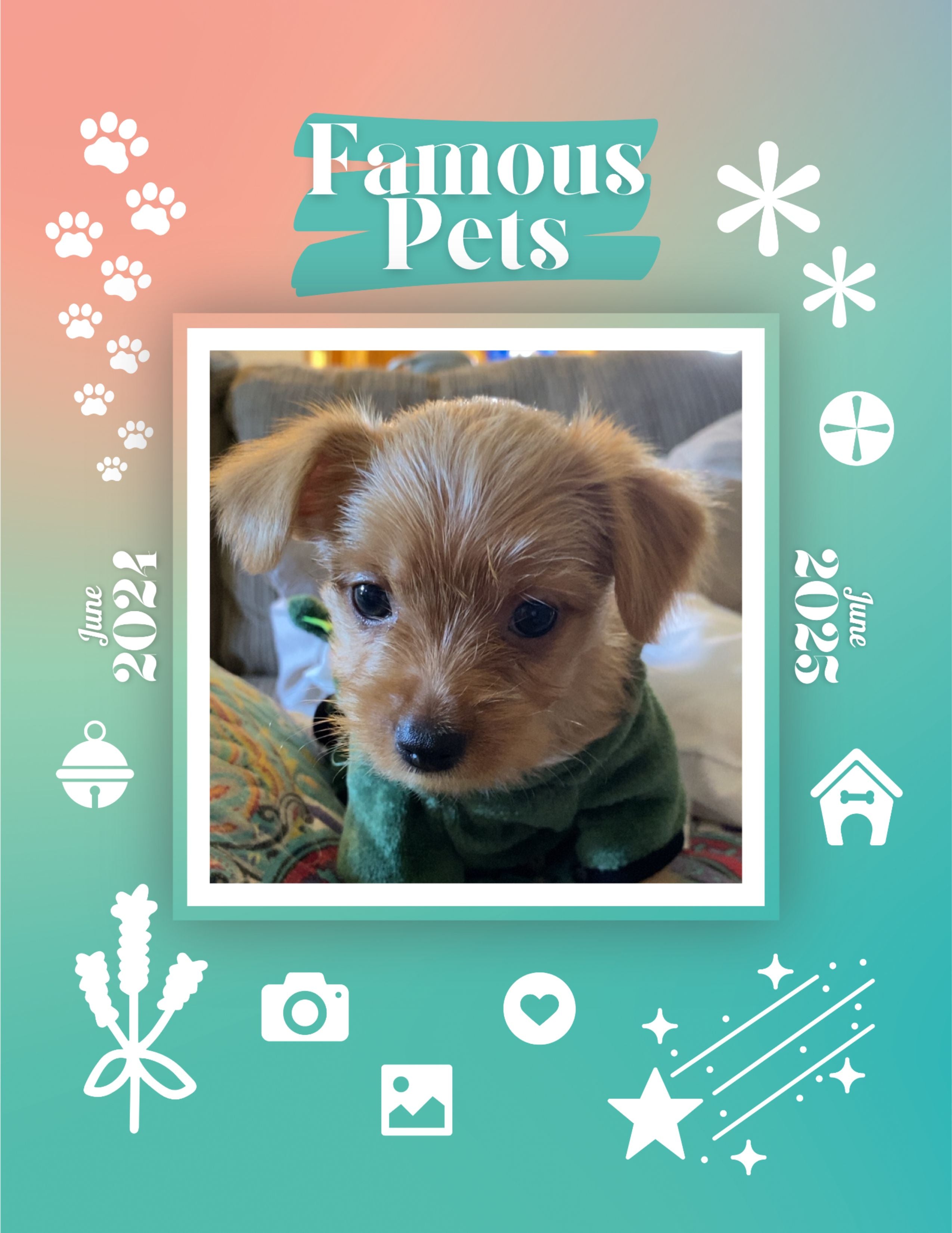 Famous Pets: June 2024-June 2025 Wall Calendar (Pre-Order)