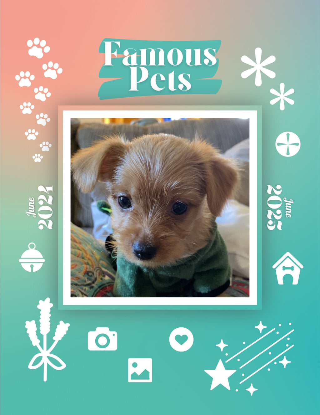 Famous Pets: June 2024-June 2025 Wall Calendar (Pre-Order)