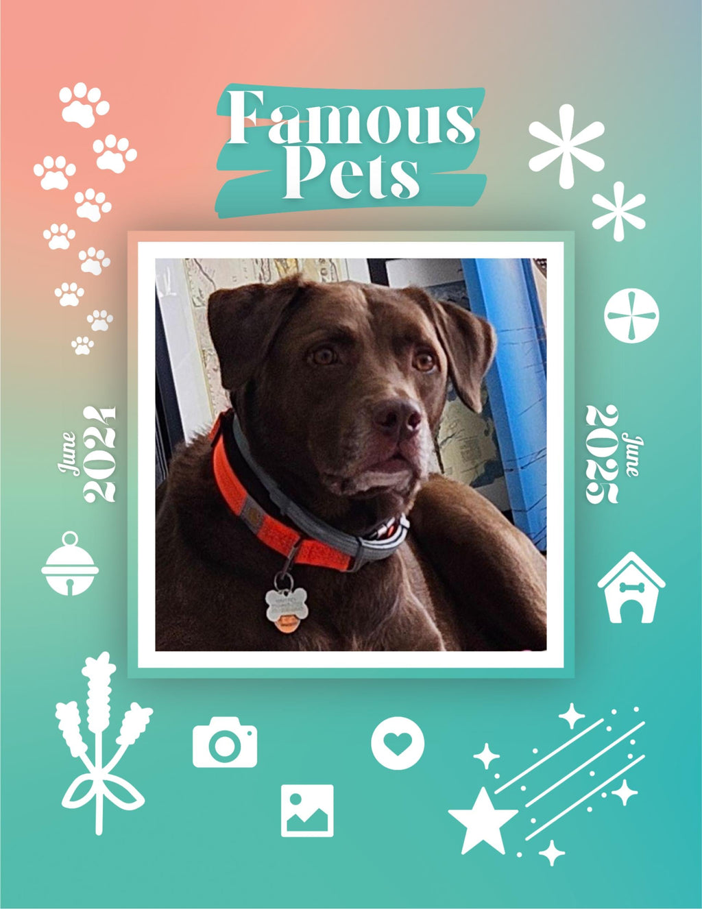 Famous Pets: June 2024-June 2025 Wall Calendar (Pre-Order)