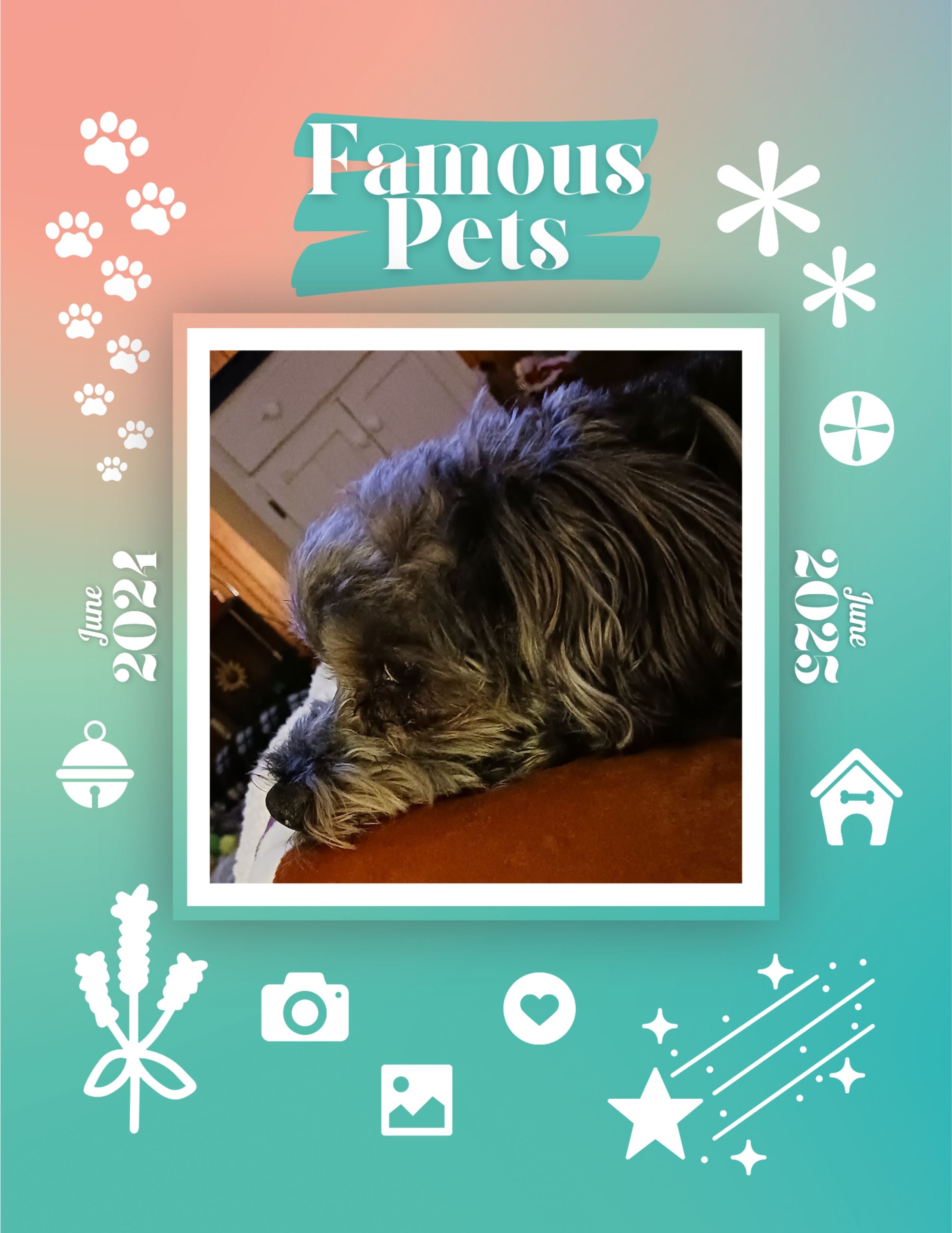 Famous Pets: June 2024-June 2025 Wall Calendar (Pre-Order)