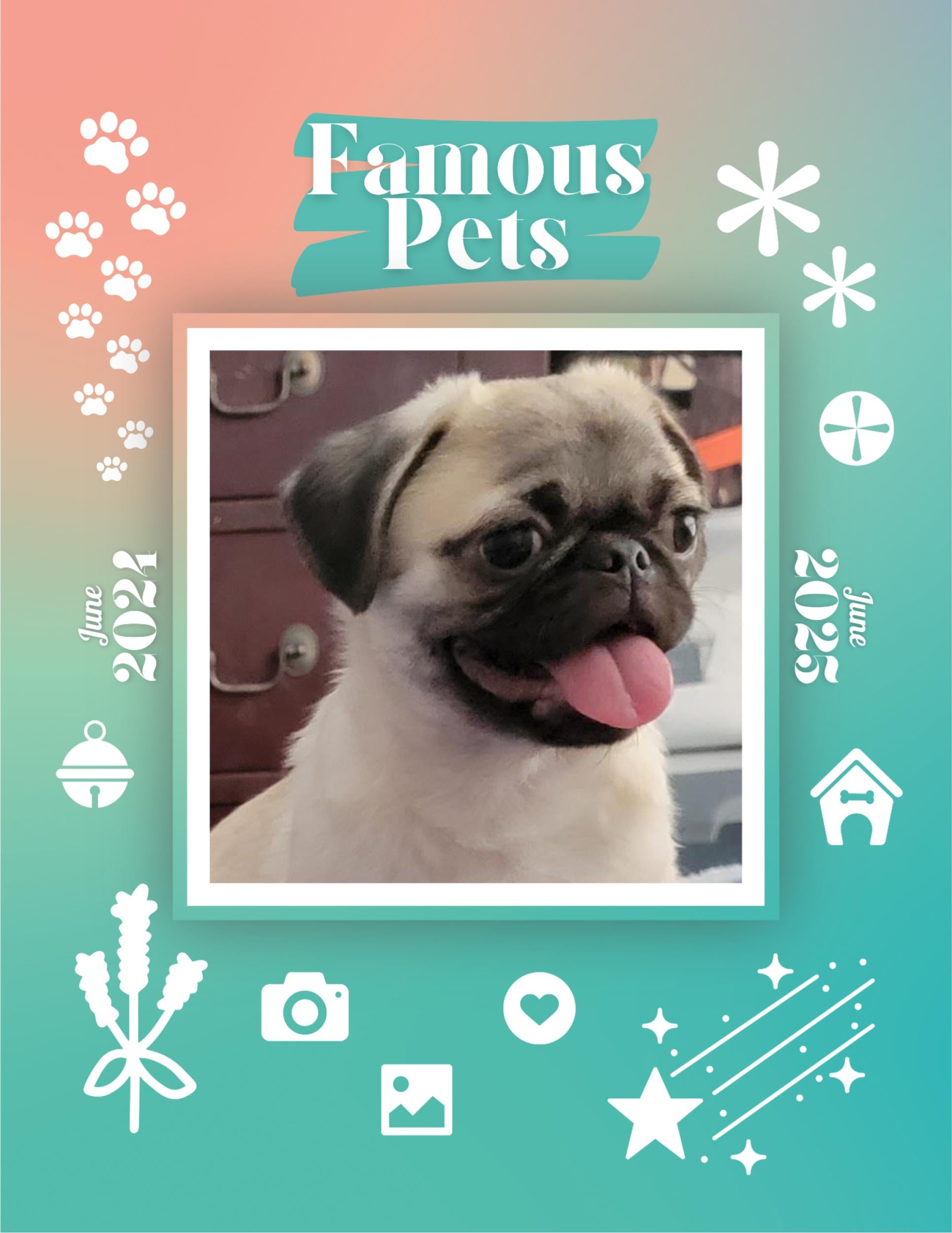 famous-pets-june-2024-june-2025-wall-calendar-pre-order-praise-my-pet