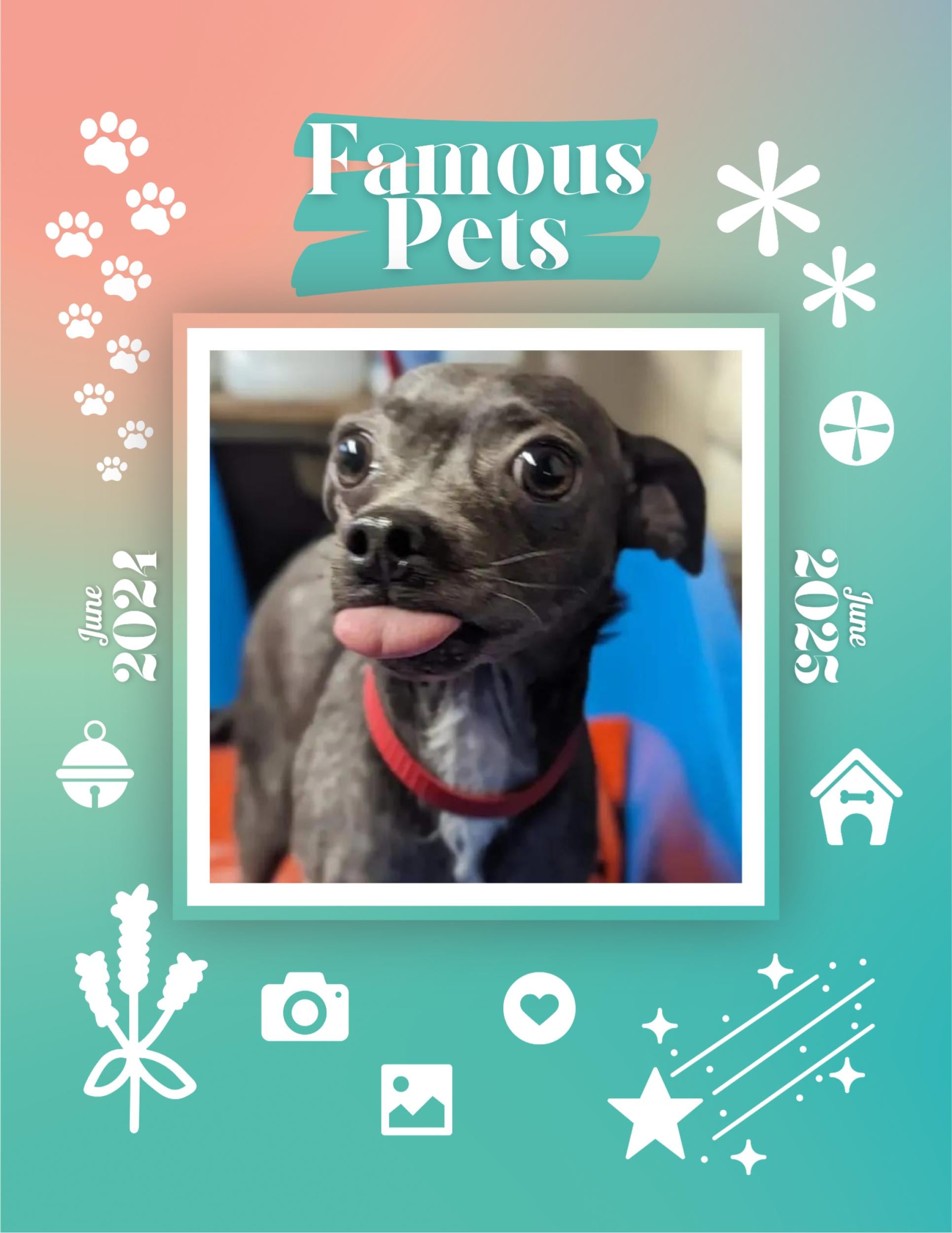 Famous Pets: June 2024-June 2025 Wall Calendar (Pre-Order) – Praise My Pet!