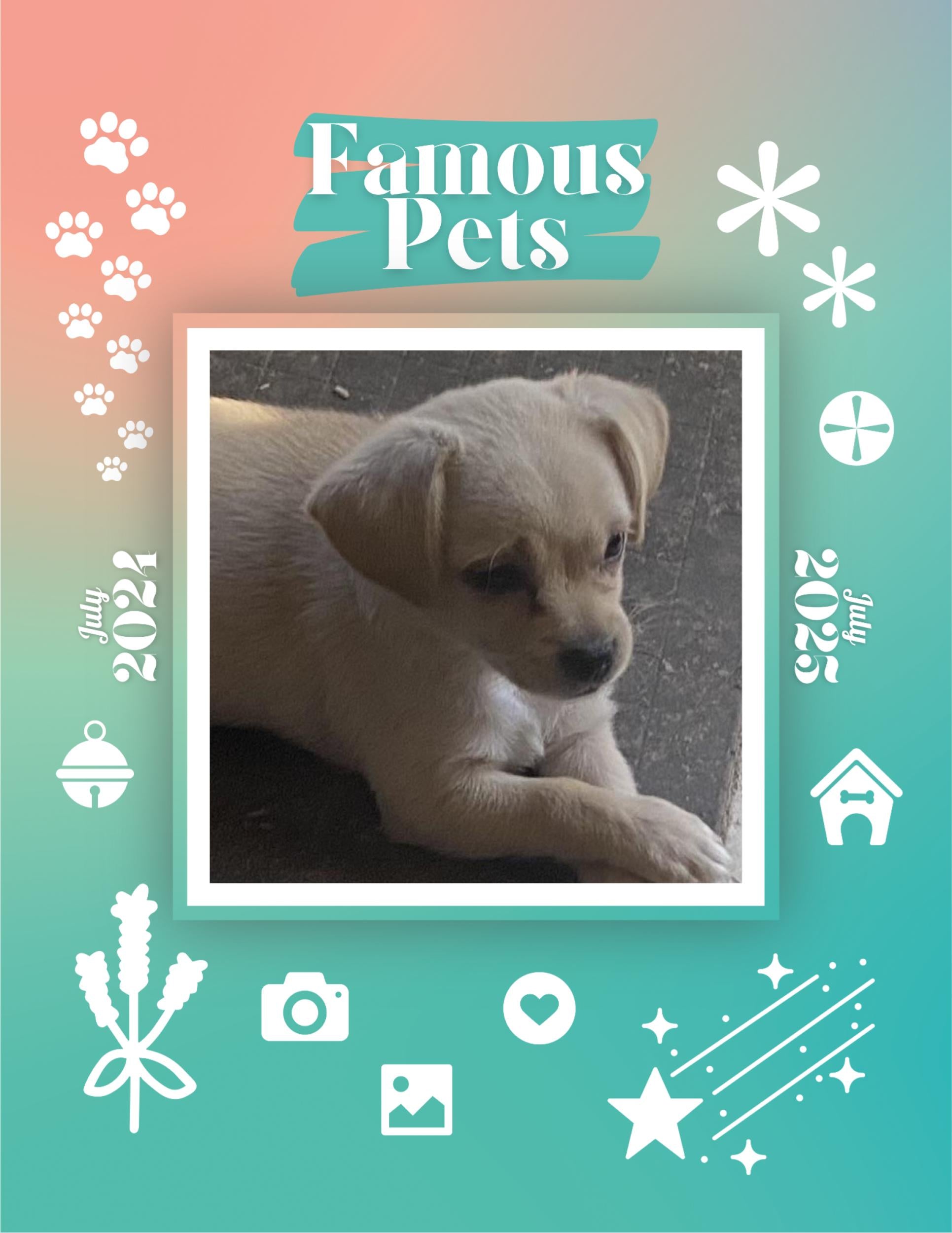famous-pets-july-2024-july-2025-wall-calendar-pre-order-praise-my-pet
