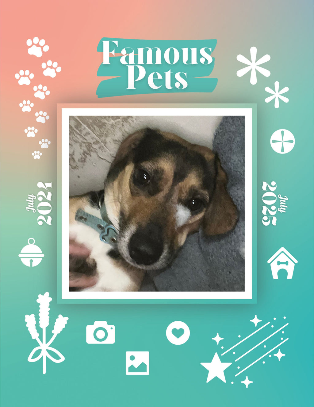 Famous Pets: July 2024-July 2025 Wall Calendar (Pre-Order)