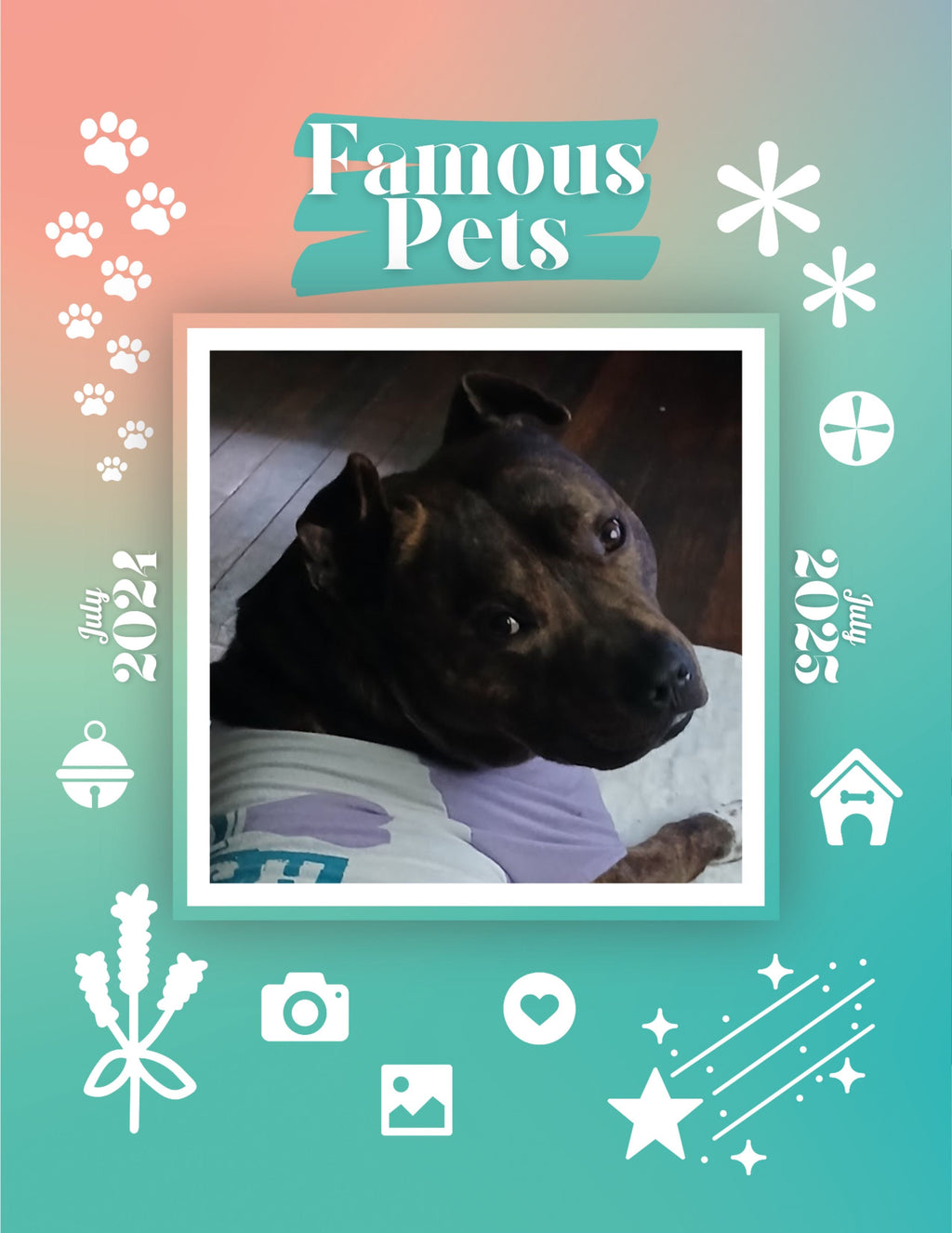 Famous Pets: July 2024-July 2025 Wall Calendar (Pre-Order)