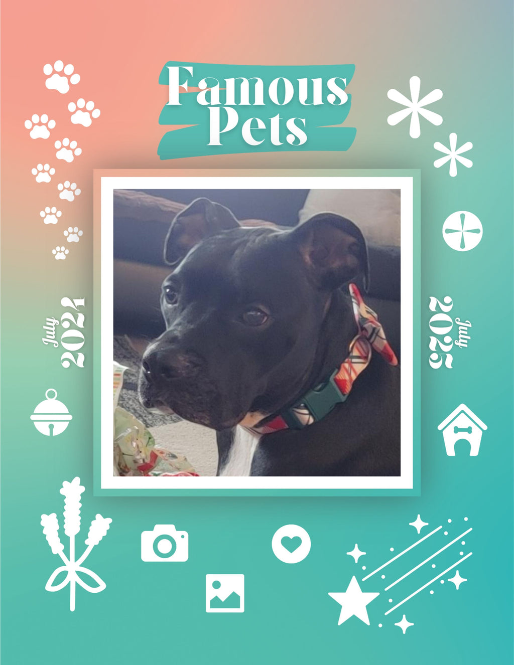 Famous Pets: July 2024-July 2025 Wall Calendar (Pre-Order)