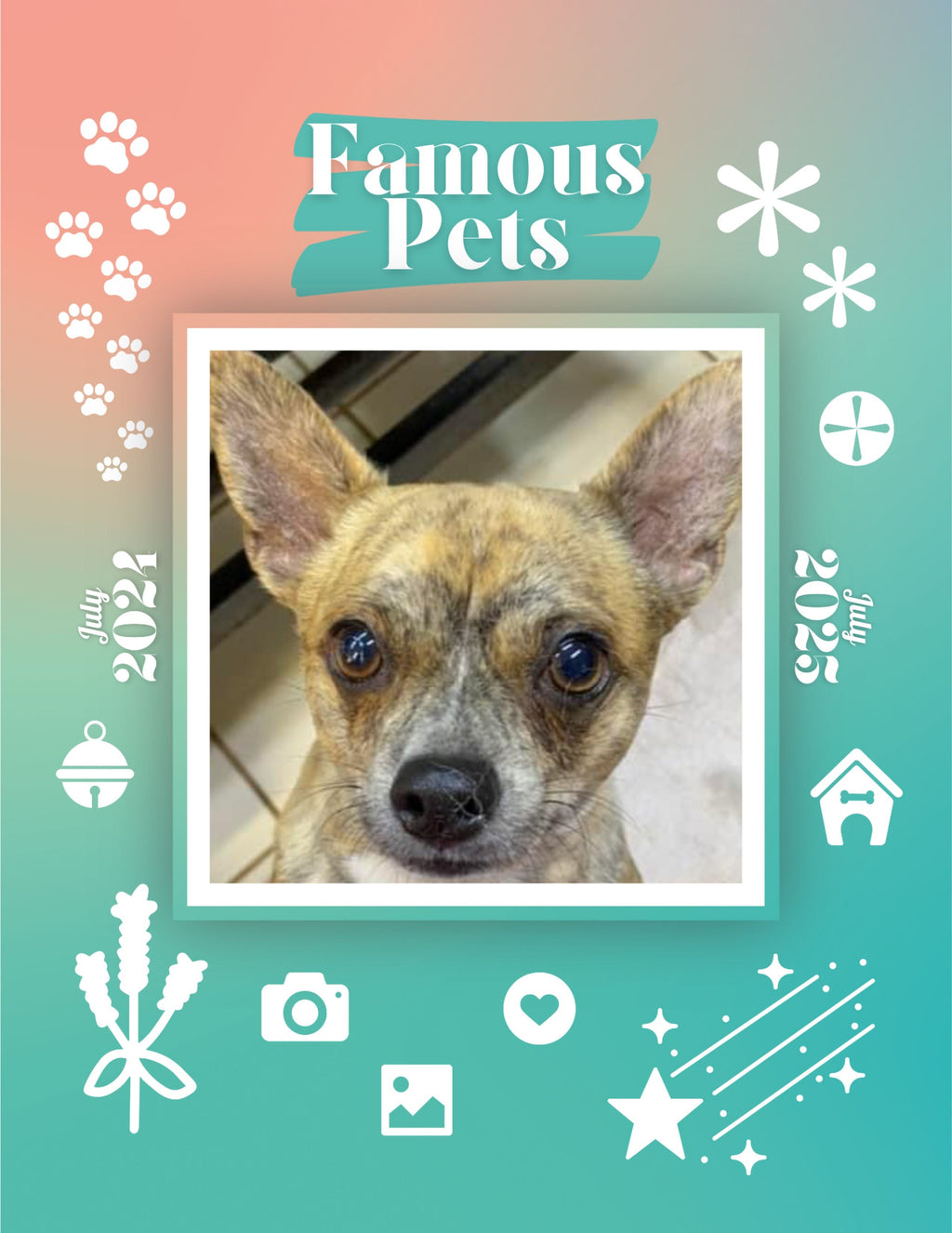 Famous Pets: July 2024-July 2025 Wall Calendar (Pre-Order)