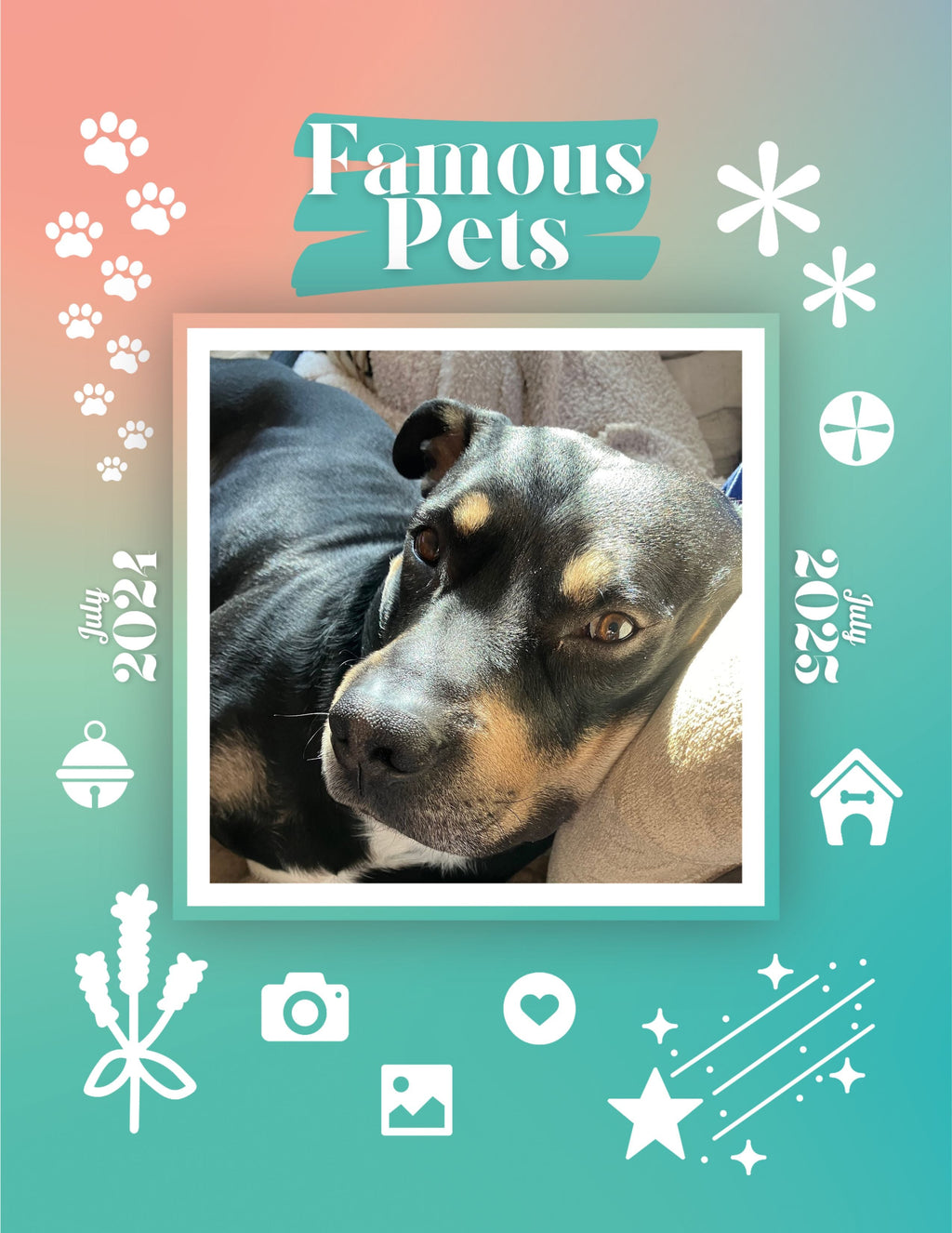 Famous Pets: July 2024-July 2025 Wall Calendar (Pre-Order)