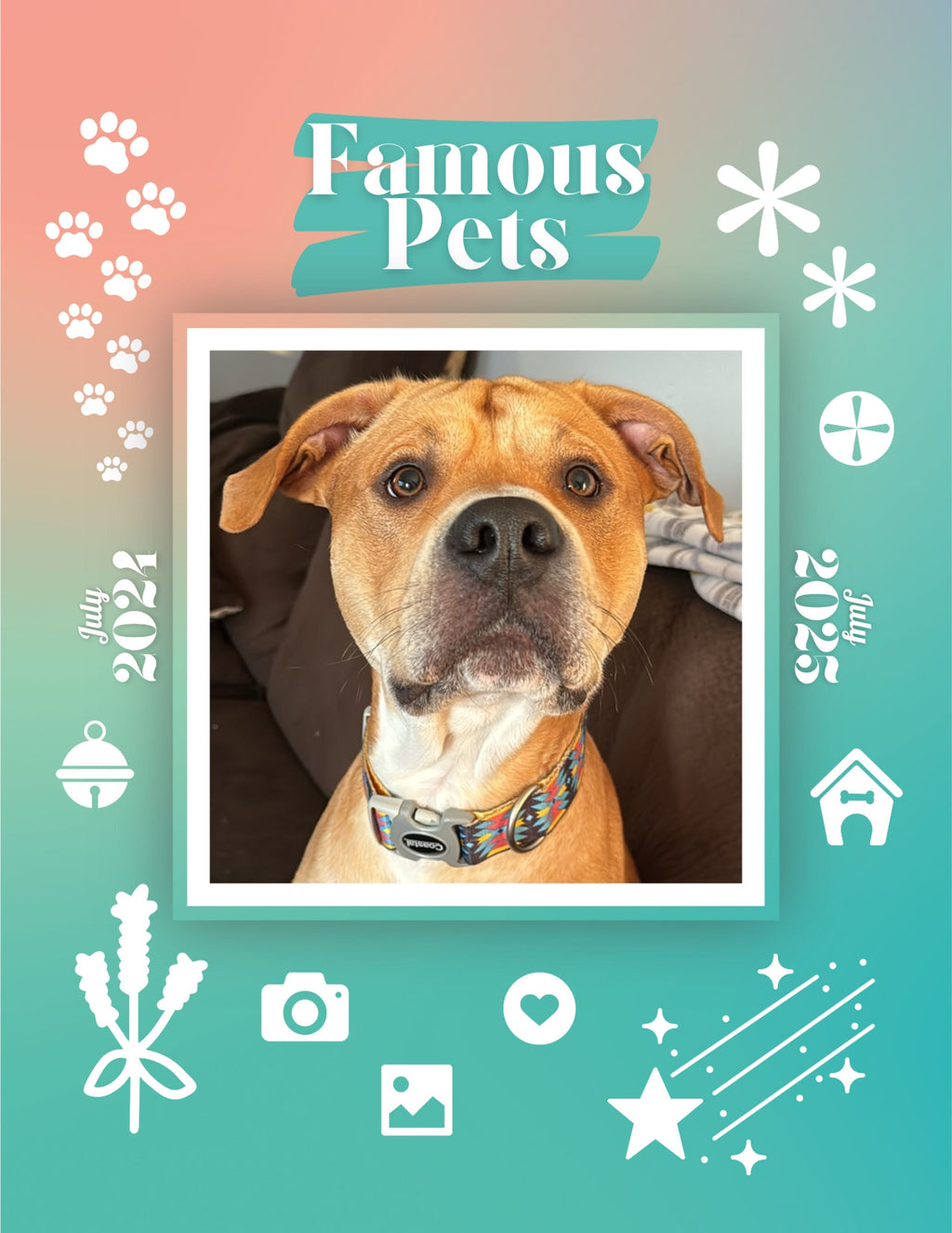 Famous Pets: July 2024-July 2025 Wall Calendar (Pre-Order)