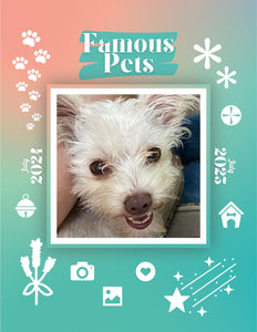 Famous Pets: July 2024-July 2025 Wall Calendar (Pre-Order)