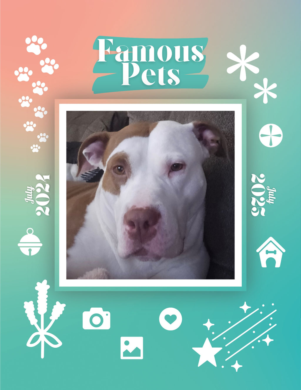 Famous Pets: July 2024-July 2025 Wall Calendar (Pre-Order)