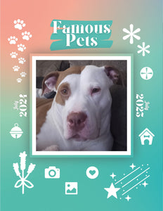 Famous Pets: July 2024-July 2025 Wall Calendar (Pre-Order)