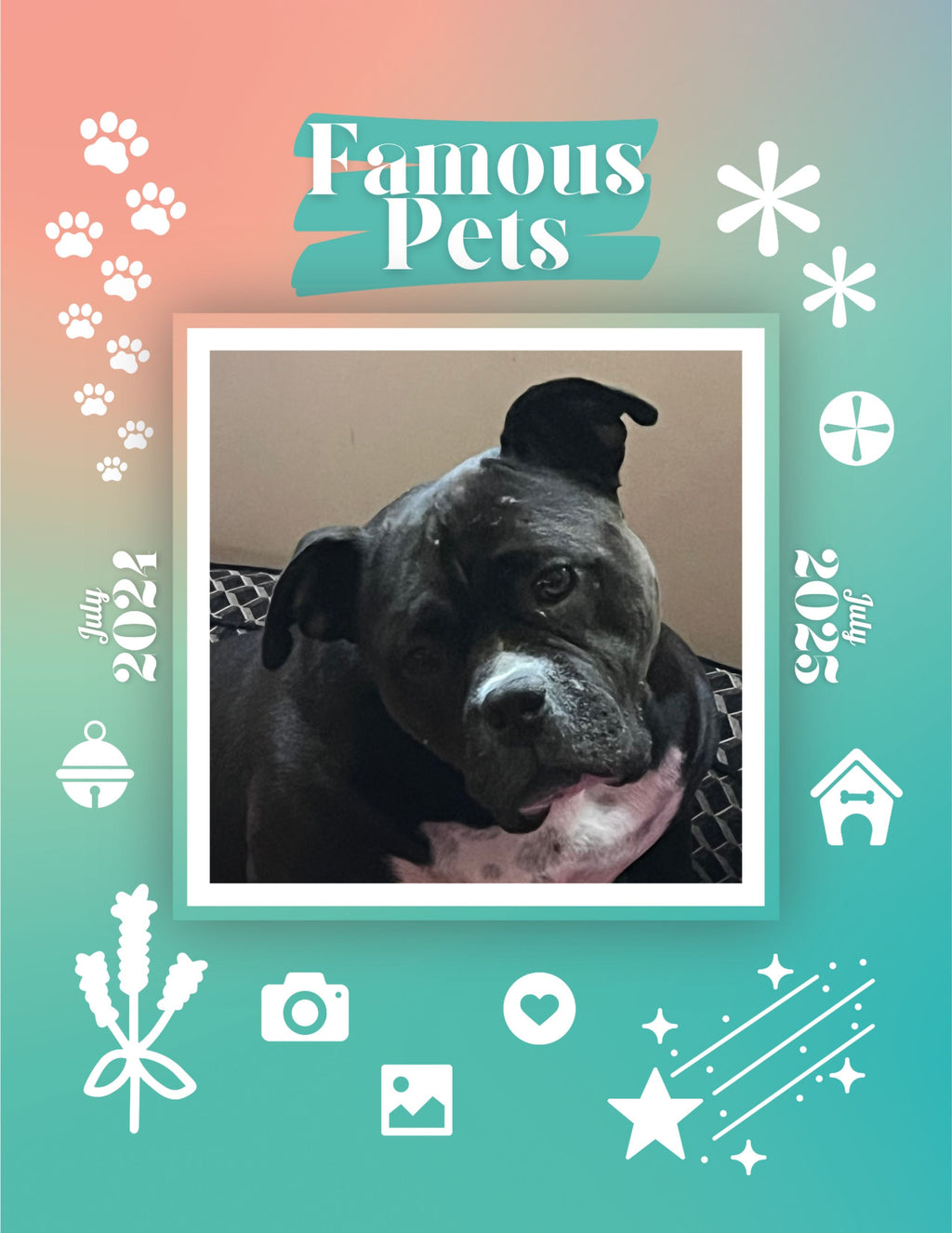 Famous Pets: July 2024-July 2025 Wall Calendar (Pre-Order)