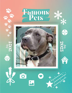 Famous Pets: July 2024-July 2025 Wall Calendar (Pre-Order)