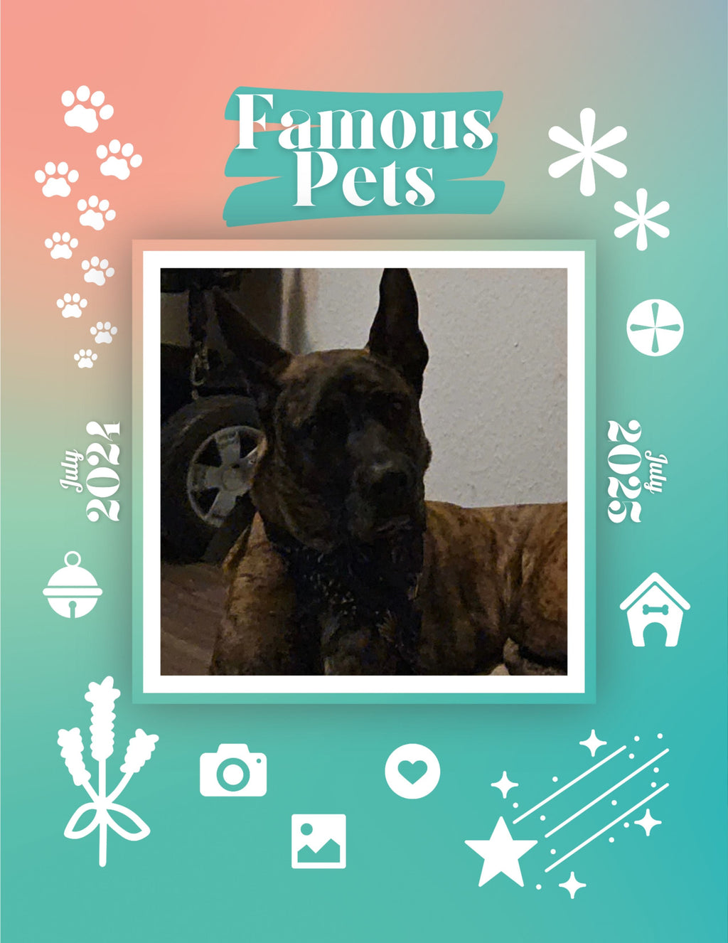Famous Pets: July 2024-July 2025 Wall Calendar (Pre-Order)