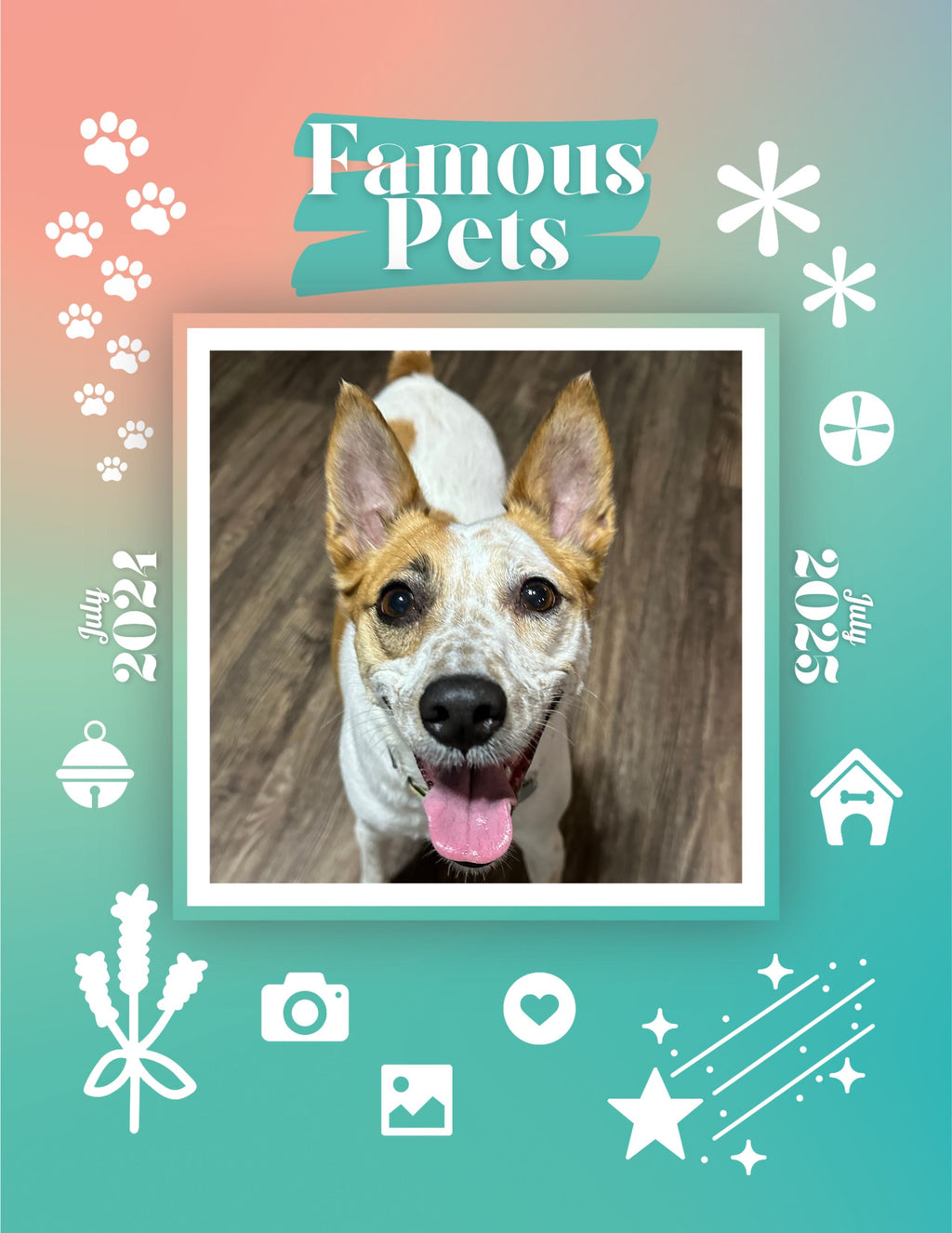 Famous Pets: July 2024-July 2025 Wall Calendar (Pre-Order)
