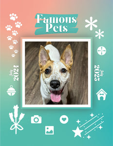 Famous Pets: July 2024-July 2025 Wall Calendar (Pre-Order)