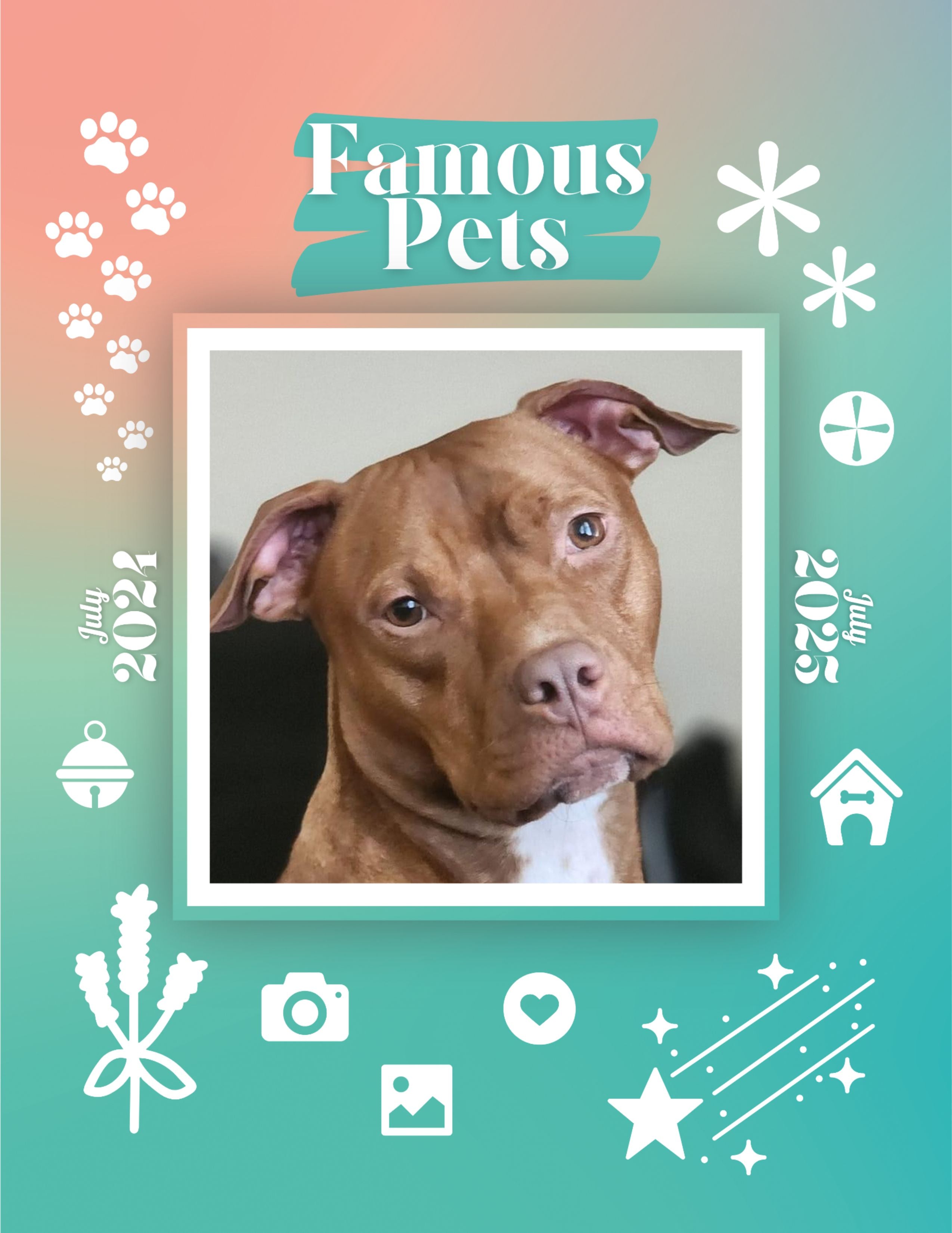 Famous Pets: July 2024-July 2025 Wall Calendar (Pre-Order)