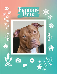 Famous Pets: July 2024-July 2025 Wall Calendar (Pre-Order)