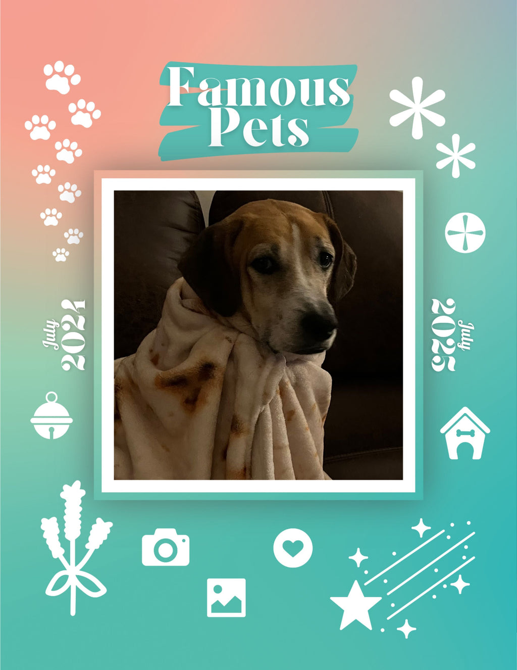 Famous Pets: July 2024-July 2025 Wall Calendar (Pre-Order)
