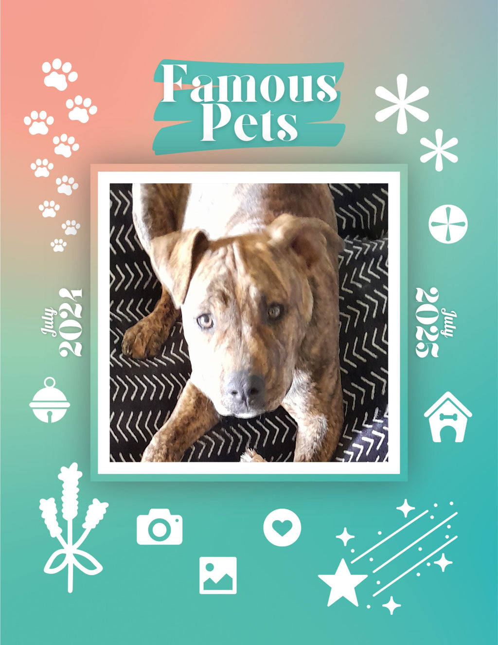 Famous Pets: July 2024-July 2025 Wall Calendar (Pre-Order)