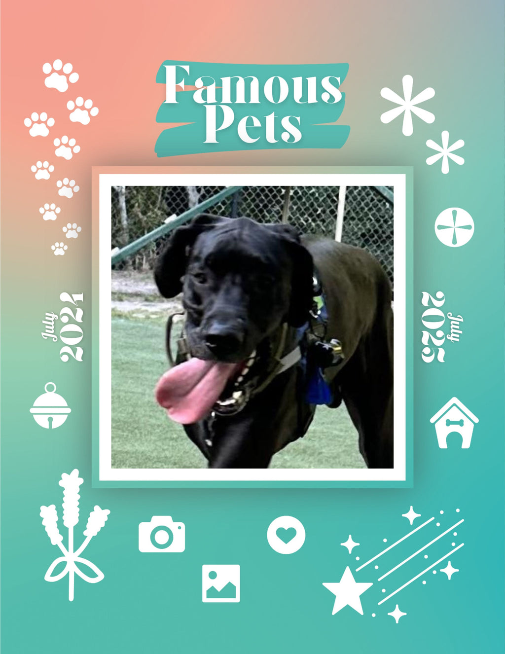 Famous Pets: July 2024-July 2025 Wall Calendar (Pre-Order)