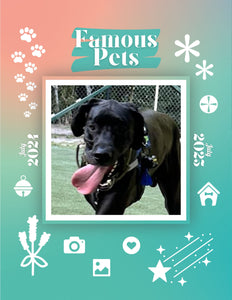 Famous Pets: July 2024-July 2025 Wall Calendar (Pre-Order)